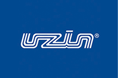 Urzin