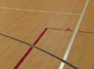 cushioned sport floors