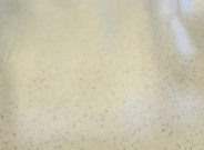 solid vinyl tile